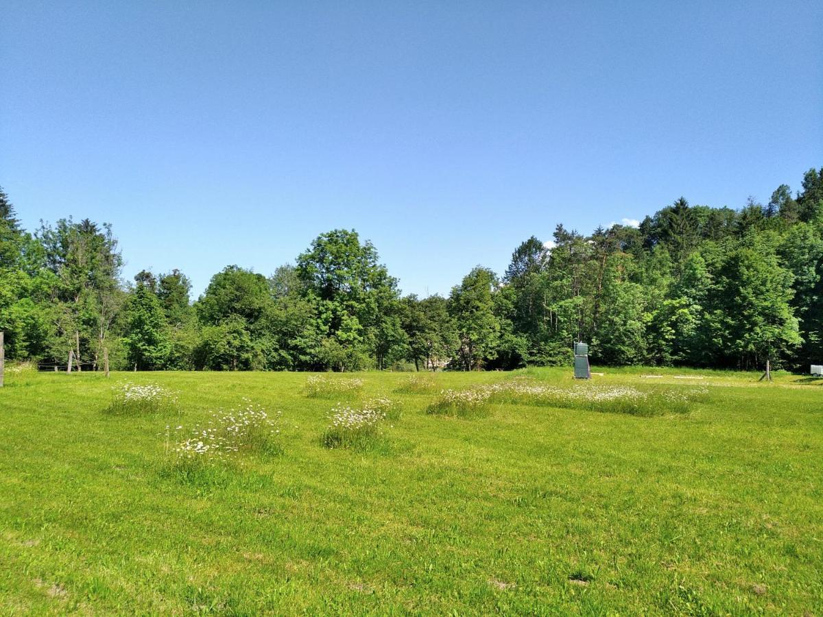 Robinson River Camp Radovljica Eksteriør bilde